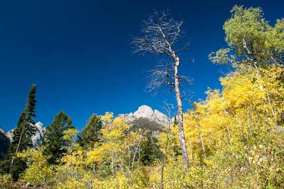 Grand Teton National Park