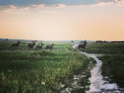 Badlands National Park