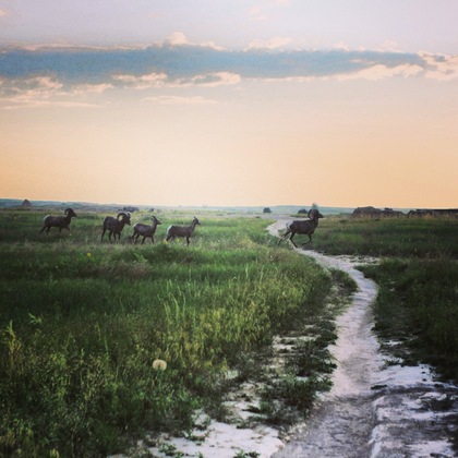 Badlands National Park