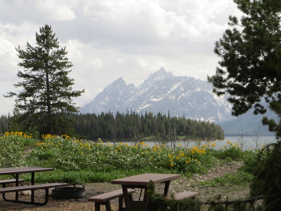 Grand Teton National Park, WY