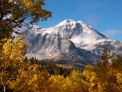 Uinta National Forest