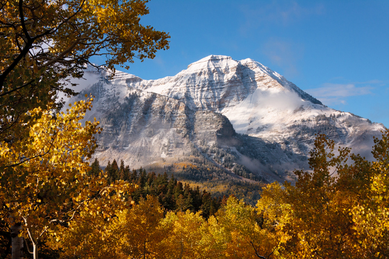 Uinta National Forest