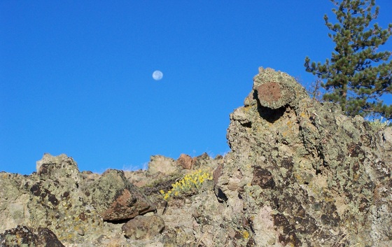 Tahoe National Forest