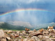 Mount Evans Recreation Center