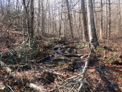 Shenandoah National Park