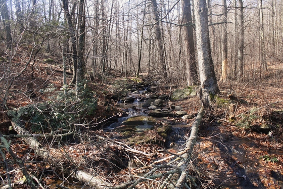 Shenandoah National Park
