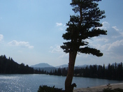 Yosemite National Park
