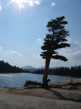 Yosemite National Park
