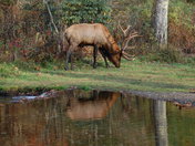 Great Smoky Mountains