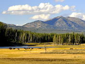 yellowstone National Park