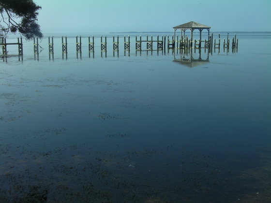 Hatteras National Seashore