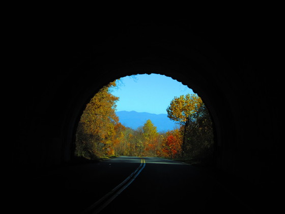 Pisgah National Forest