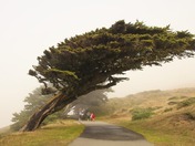 Point Reyes National Seashore