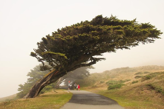 Point Reyes National Seashore