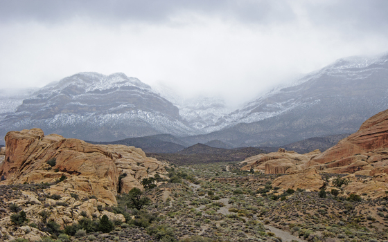 Red Rock Canyon National conservation Area