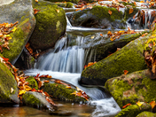 Great Smoky Mountains