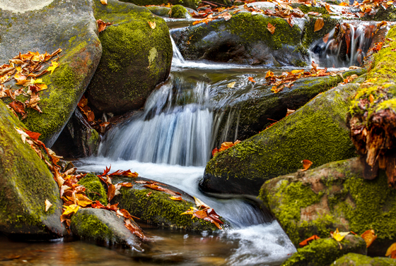 Great Smoky Mountains