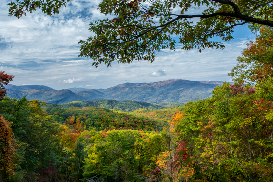 Great Smokie Mountains