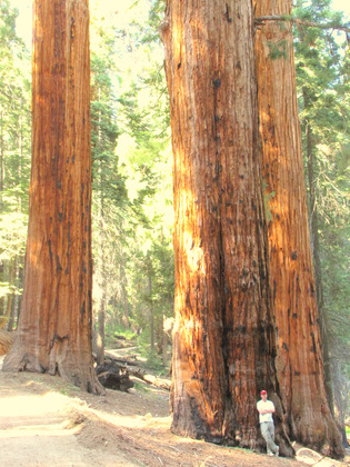 Kings Canyon National Park