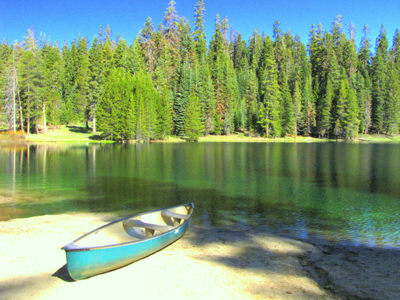 Sequoia National Forest