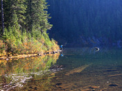 Snoqualmie National Forest