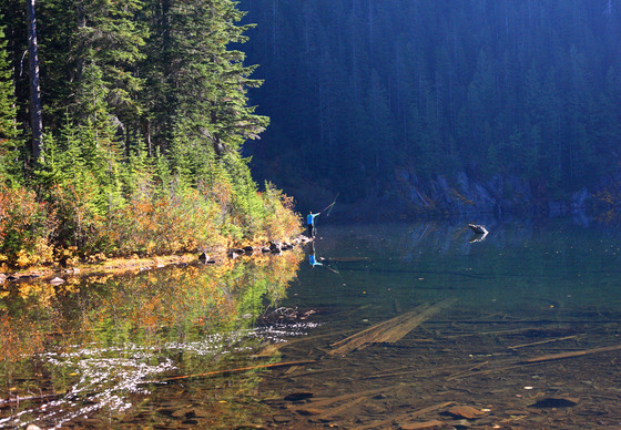 Snoqualmie National Forest