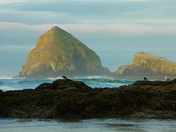 Three Arch Rocks National Wildlife Refuge 