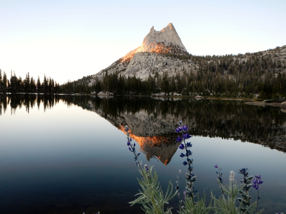 Yosemite National Park