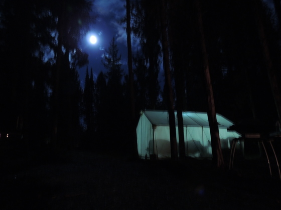 Boise National Forest