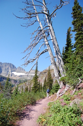 Glacier National Park