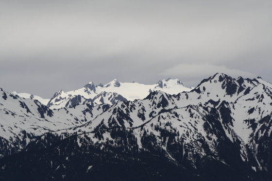 Olympic National Park / Hurricane Ridge