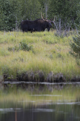 Rocky Mountain National Park