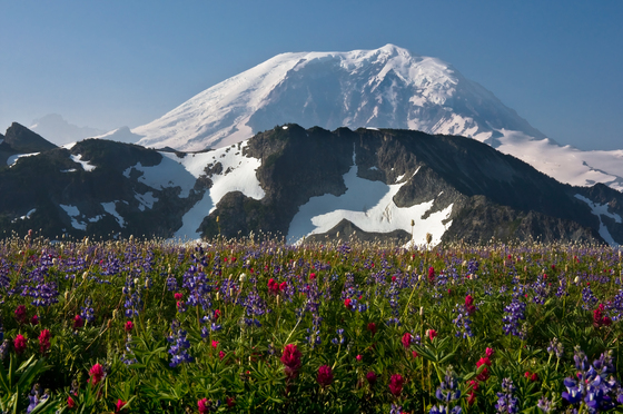 Mount Rainier National Park