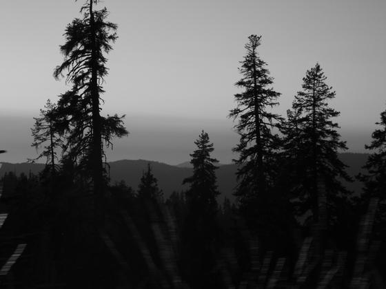 Yosemite National Park