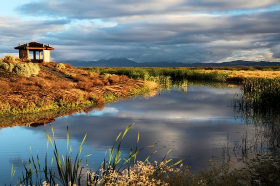 Tule Lake National Wildlife Refuge