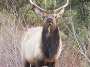 Rocky Mountain National Park