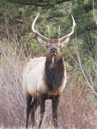 Rocky Mountain National Park
