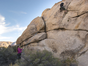 Joshua Tree National Park