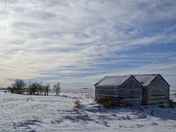 Alberta Prairies