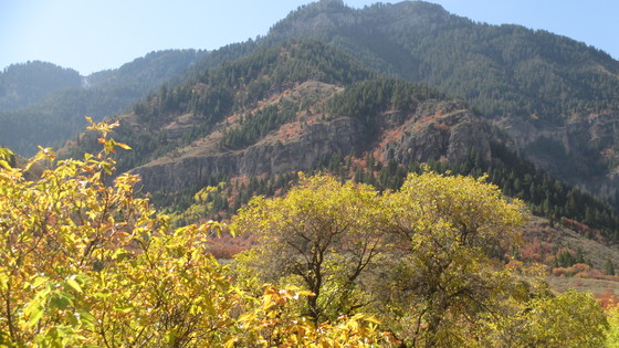 Wasatch-Cache National Forest
