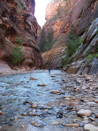 Zion National Park