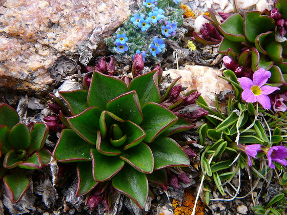 Mt. Bierstad/Guanellas Pas