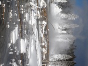 Yellowstone