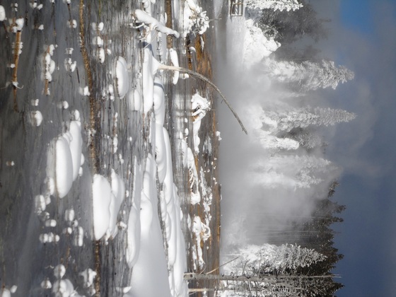 Yellowstone