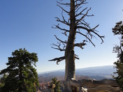 Bryce Canyon National Park