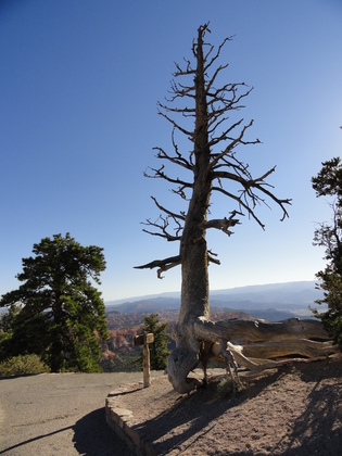 Bryce Canyon National Park