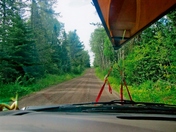 Superior National Forest