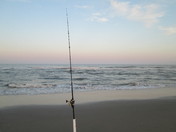 Assateague Island National Seashore
