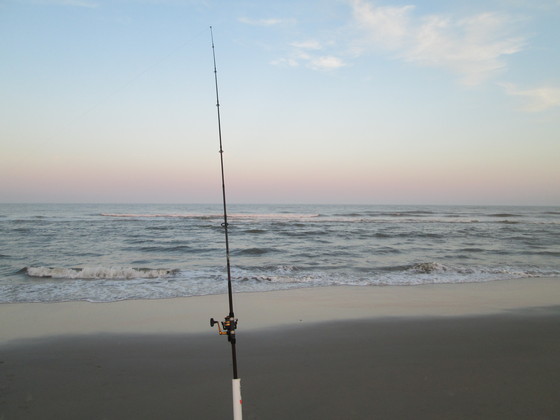 Assateague Island National Seashore