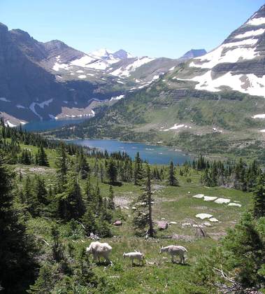 Glacier National Park